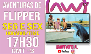 17H30 FLIPPER