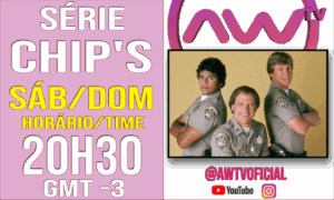 20H CHIPS